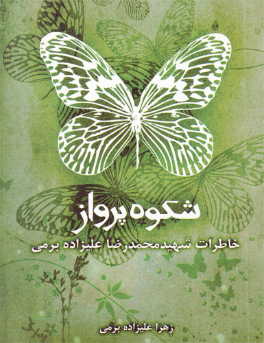 شکوه پرواز؛ روایتی از شهید شانزده ساله به قلم خواهرش شکوه پرواز؛ روایتی از شهید شانزده ساله به قلم خواهرش