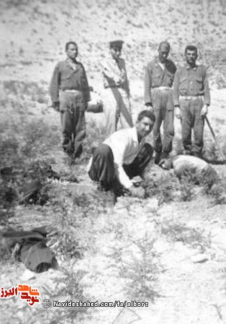 دستهای کوچک پسرم... دستهای کوچک پسرم...