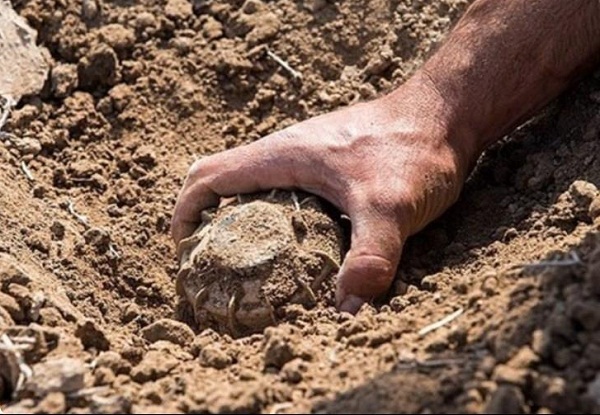 تنها خمپاره سفید دنیا!(منتشر نشود) تنها خمپاره سفید دنیا!(منتشر نشود)