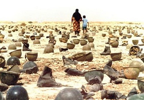 اینجا که خاک، بوی کبوتر گرفته است اینجا که خاک، بوی کبوتر گرفته است