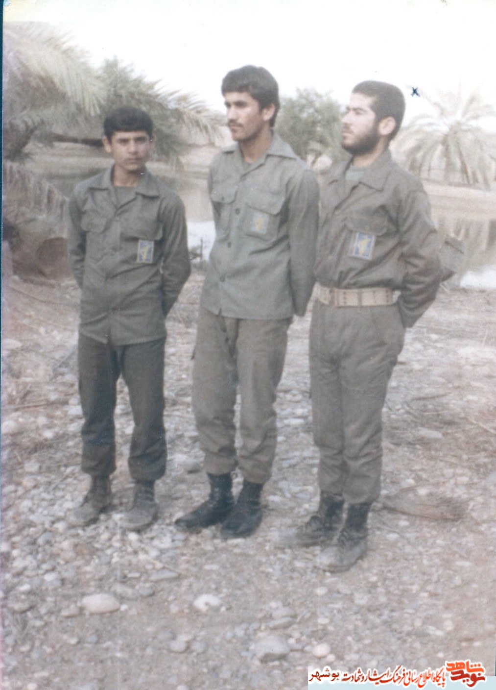 تا شهد و بوي آن نجويم برنگردم تا شهد و بوي آن نجويم برنگردم