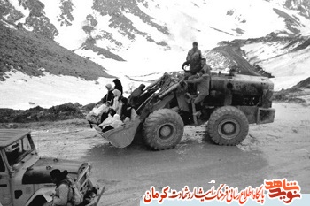 خلبان بر فراز درخت خرما ! خلبان بر فراز درخت خرما !