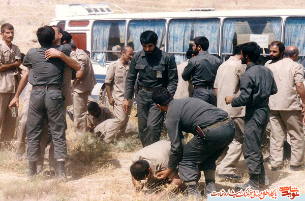 کبوتران آزادی