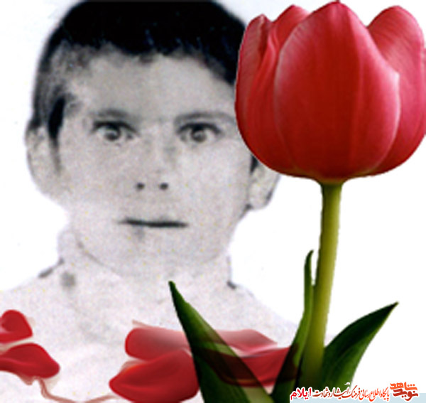 دو تولد در بهمن! دو تولد در بهمن!