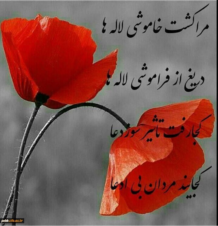 زندگی نامه شهید بهروز هاشمی(عکس ندارد) زندگی نامه شهید بهروز هاشمی(عکس ندارد)