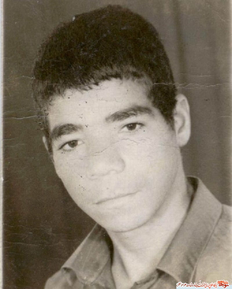 شکوفه بهمن شکوفه بهمن