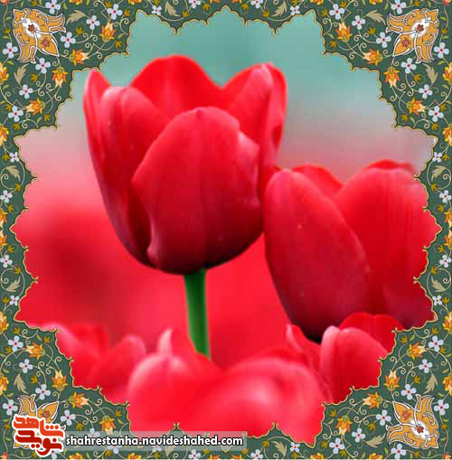 وصیت شهید 14 ساله؛ مرگی علی وار می خواهم وصیت شهید 14 ساله؛ مرگی علی وار می خواهم