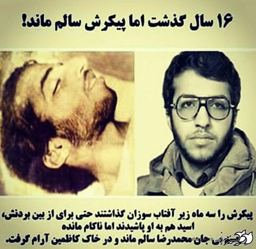 پیکر سالم پیکر سالم