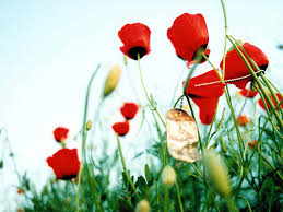 گذری بر زندگی شهید عبدالرسول راهدار گذری بر زندگی شهید عبدالرسول راهدار