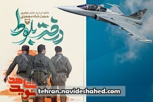 پنهان شدن خلبان هوانیروز بالای درخت بلوط! پنهان شدن خلبان هوانیروز بالای درخت بلوط!