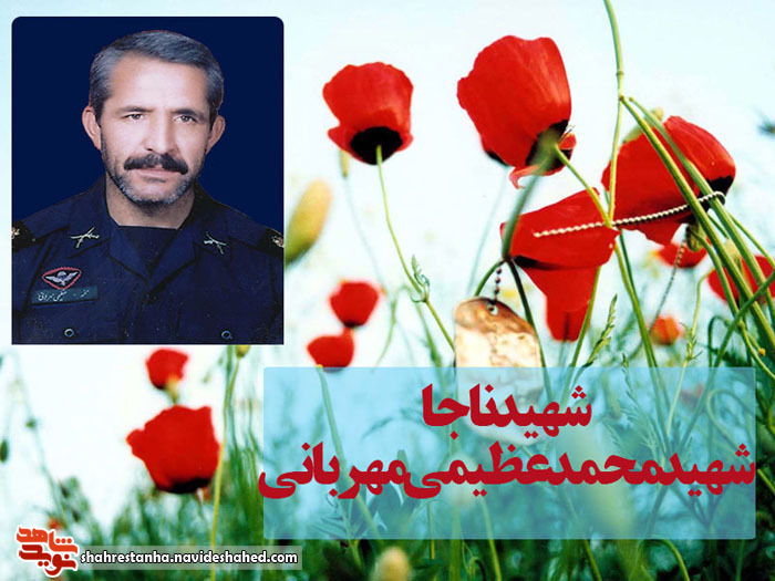 شهید ناجا شهید ناجا