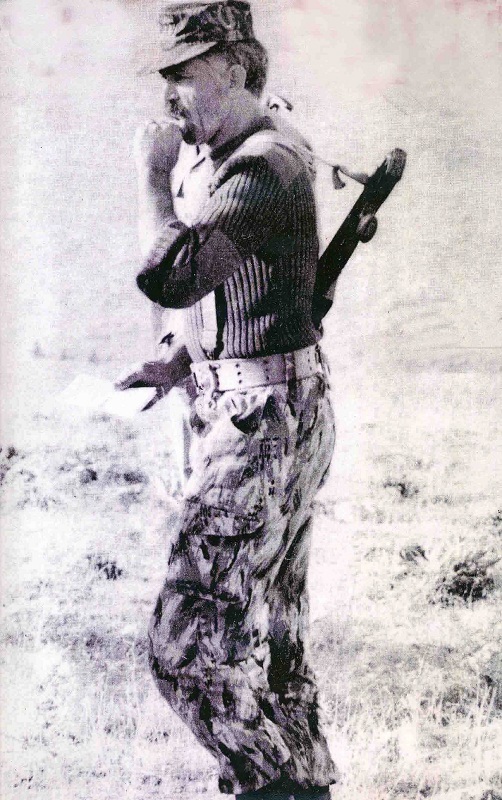 هميشه در خط هميشه در خط