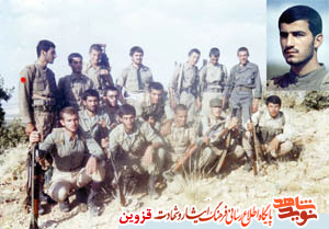 بادمجان بم آفت ندارد! بادمجان بم آفت ندارد!