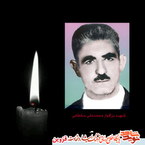 همسر شهید «محمدعلی سلطانی» آسمانی شد همسر شهید «محمدعلی سلطانی» آسمانی شد