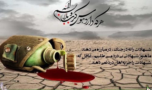 شهیدی که امام رضا خبر شهادت او را می دهد