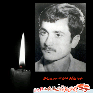 پدر یکی از شهدای قزوین آسمانی شد پدر یکی از شهدای قزوین آسمانی شد