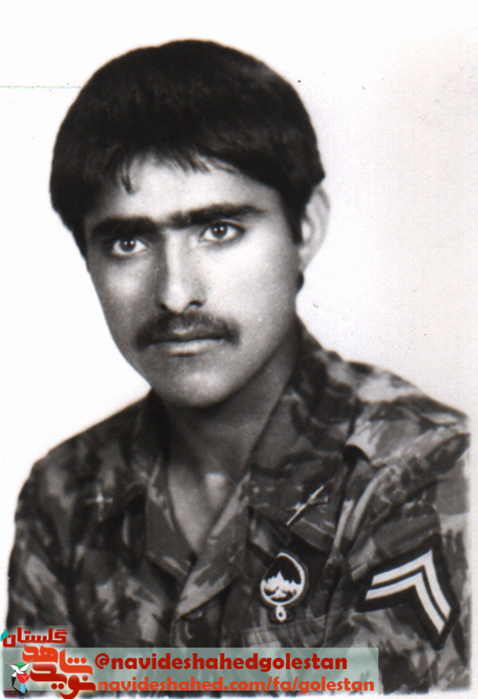 بالاترین عبادت جهاد در راه خداست بالاترین عبادت جهاد در راه خداست