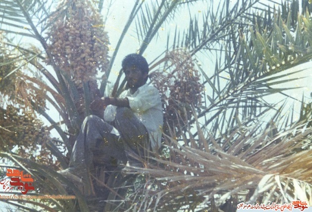 دلنوشته یک شهید برای امام دلنوشته یک شهید برای امام