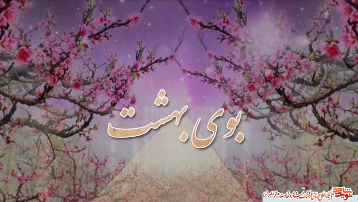 پخش مستند پخش مستند