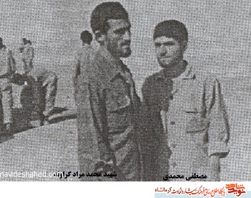 شاید فرمانده ام راضی نباشد شاید فرمانده ام راضی نباشد