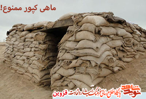 ماهی کپور ممنوع! ماهی کپور ممنوع!