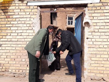 اجرای طرح اجرای طرح