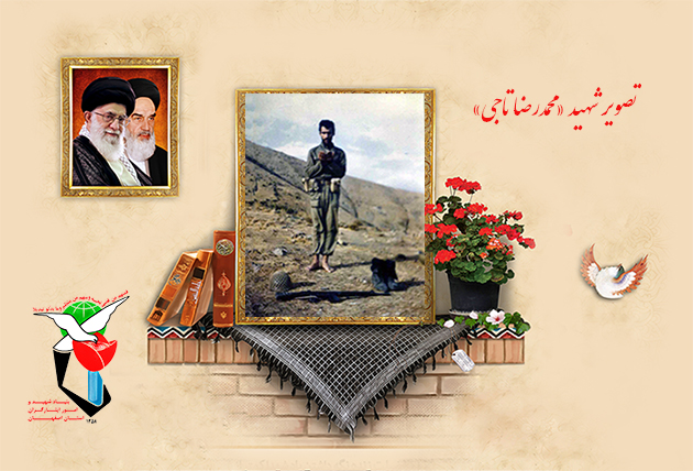 سایه