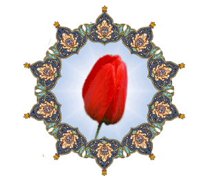 نام شهید : لطف الله الهویی نظری نام شهید : لطف الله الهویی نظری