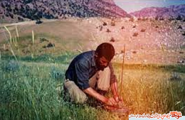 دنیا را محل سازندگی خود قرار دهید و روز به روز به خدا نزدیکتر شوید