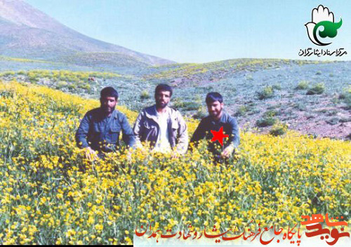 آلبوم تصاویر| شهید آلبوم تصاویر| شهید