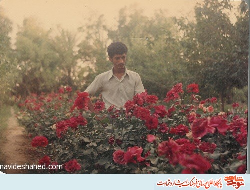 تصاویر دیده نشده از شهید «علیرضا ستاری»