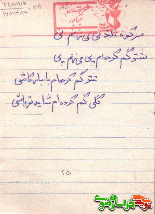 نرم چو پروانه و درنده چو ببر