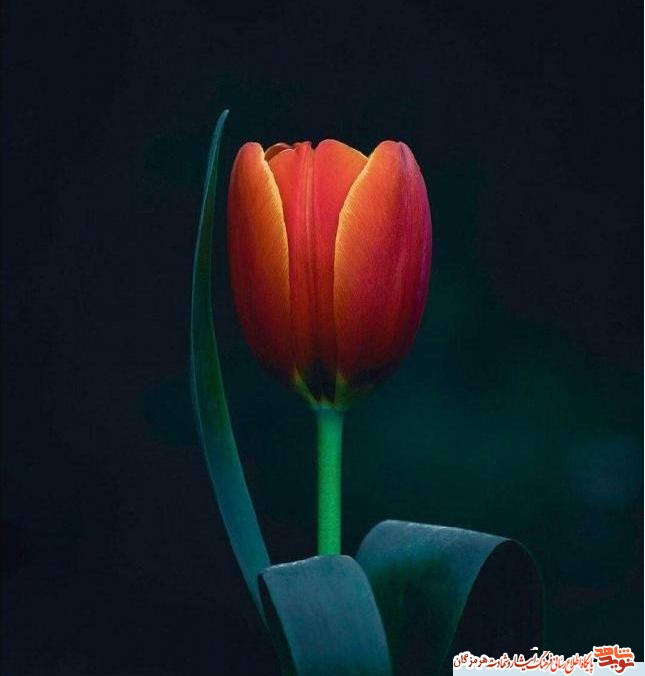 خوش اخلاق و آرام بود خوش اخلاق و آرام بود