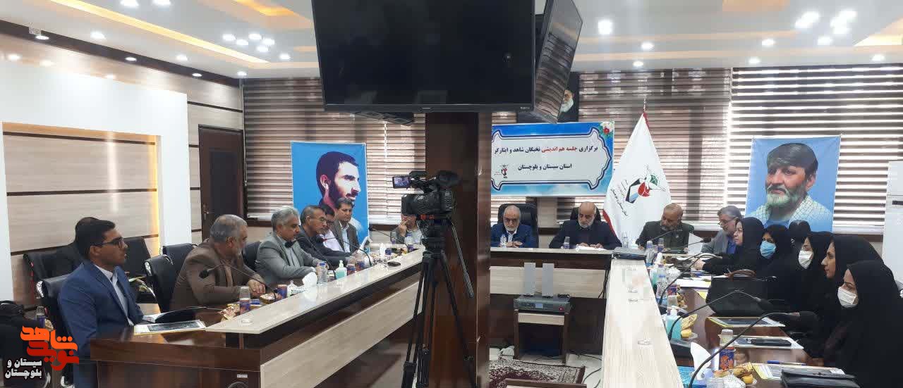 جلسه هم اندیشی نخبگان و تشکل های شاهد و ایثارگر در زاهدان برگزار شد