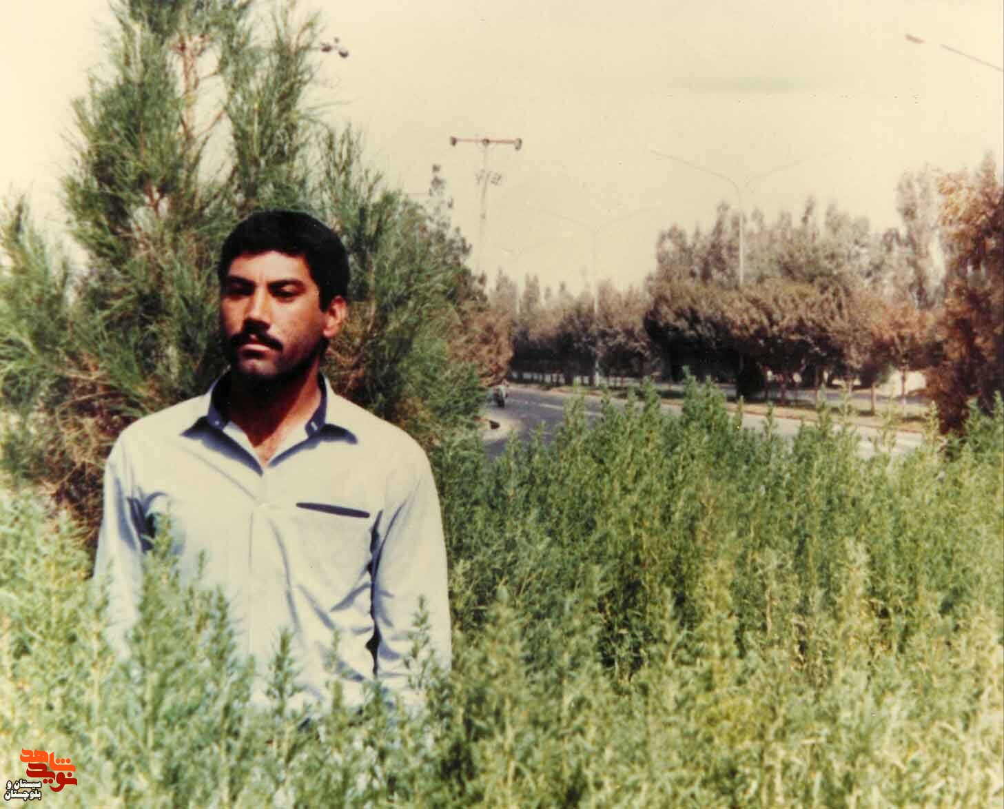 آلبوم تصاویر شهید«مسعود سیاسر» منتشر شد
