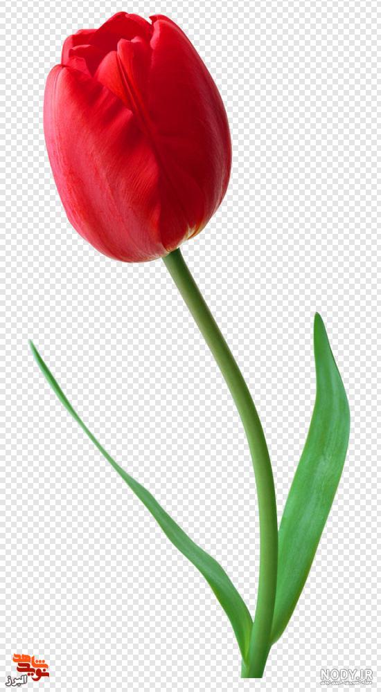 هدفی جزء اسلام نداشت هدفی جزء اسلام نداشت