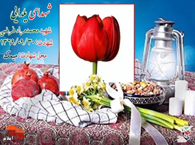 شهدای شب یلدایی استان ایلام شهدای شب یلدایی استان ایلام