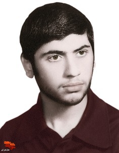 کبوتر غریبی که به صاحبش برگشت کبوتر غریبی که به صاحبش برگشت