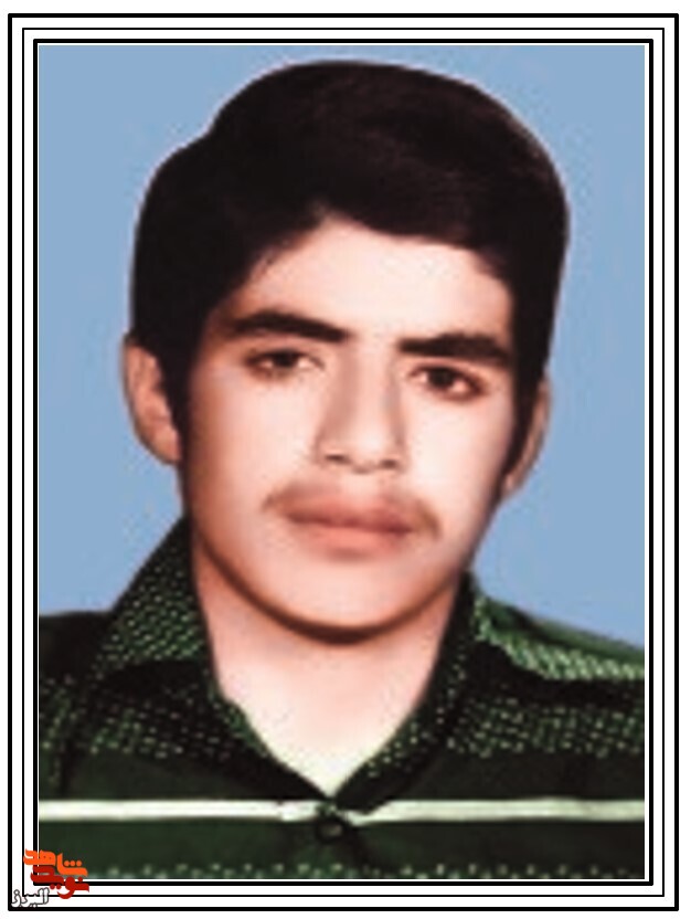 گلِ نجابت گلِ نجابت