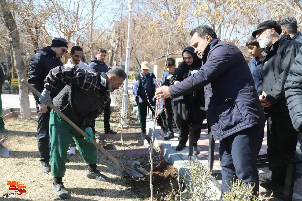 به یاد هر شهید یک درخت به یاد هر شهید یک درخت