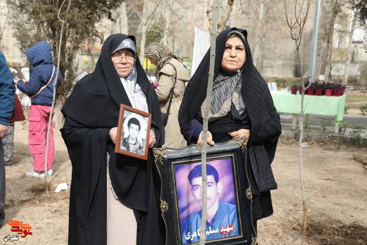 به یاد هر شهید یک درخت به یاد هر شهید یک درخت