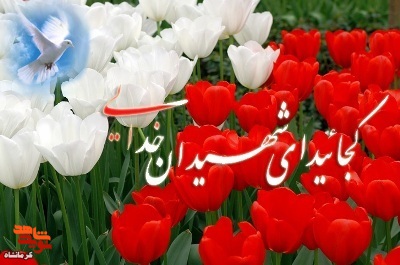 شهادت در بمباران هوایی دشمن به منازل مسکونی