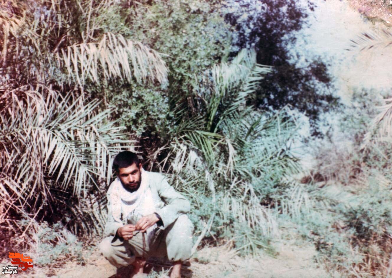 آلبوم تصاویر شهید«احمد صیاداربابی» منتشر شد