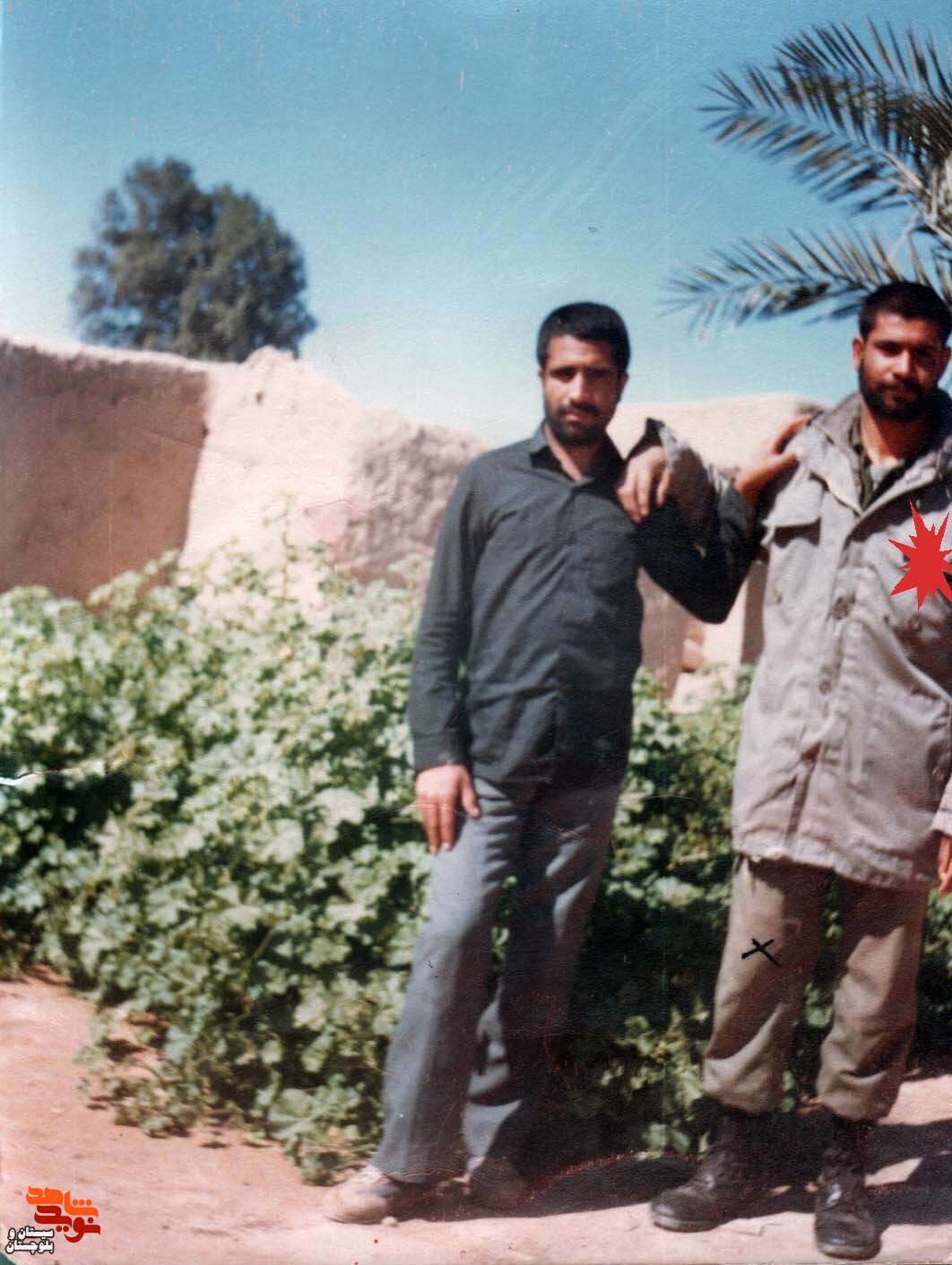 آلبوم تصاویر شهید«احمد صیاداربابی» منتشر شد