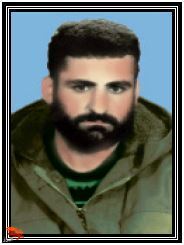 سینهای سرخ و سری سبز سینهای سرخ و سری سبز