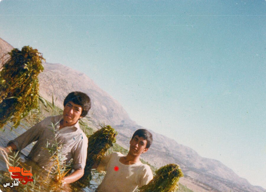 صدایی مرا فرا میخواند صدایی مرا فرا میخواند