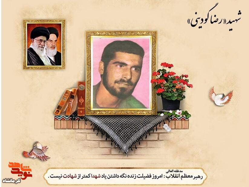 ما آرزویی جز سلامتی امام و پیروزی رزمندگان نداریم