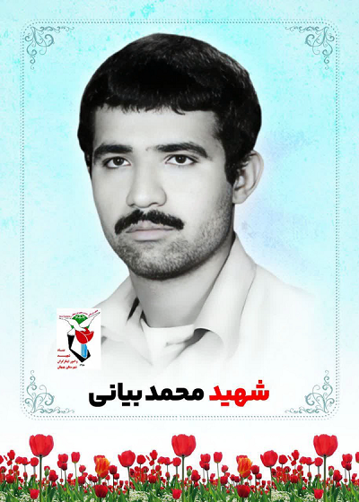 مادر شهید «محمد بیانی» آسمانی شد