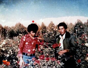 شجاعت یک نوجوان و تحولی در روستا شجاعت یک نوجوان و تحولی در روستا