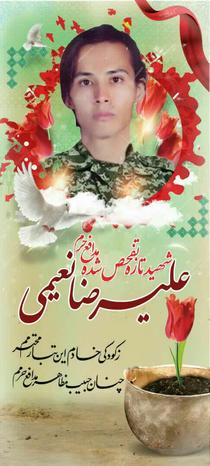 شهید علیرضا نعیمی
